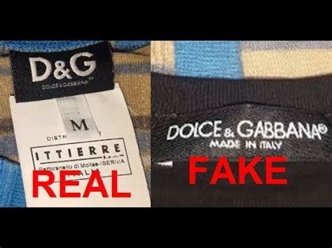 fake dolce and gabbana clothes|dolce and gabbana fashion clothing.